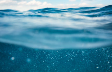 Stay Connected With LMCD!