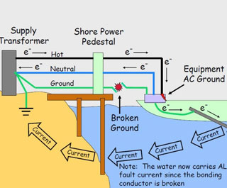 Electric Shock Drowning